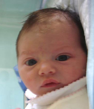 bébé de désert