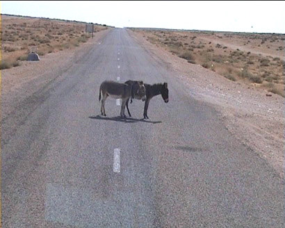LA COMPéTION D'AMOUR CONTRE LA ROUTE