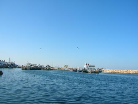 la mer de ma ville   zarat