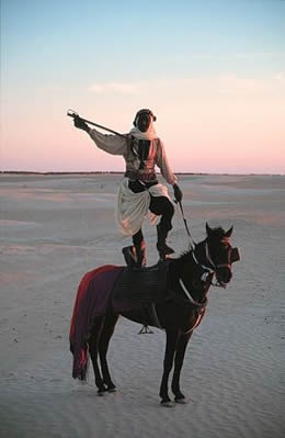 LE COURAGEUX CAVALIER DE DESERT
